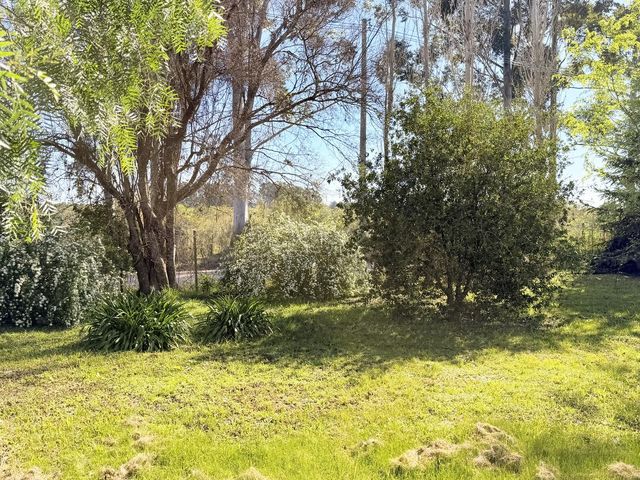 place photo 36