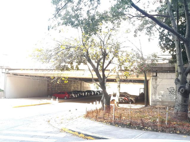 place photo 52