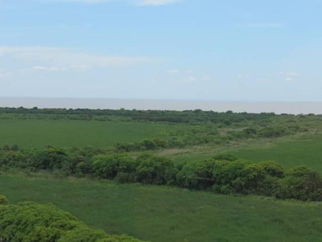 place photo 71