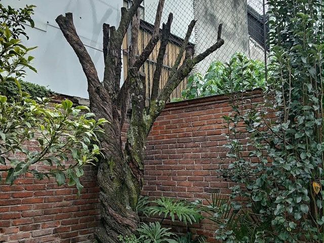 place photo 25