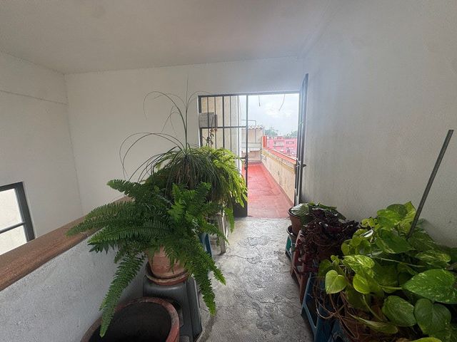 place photo 39