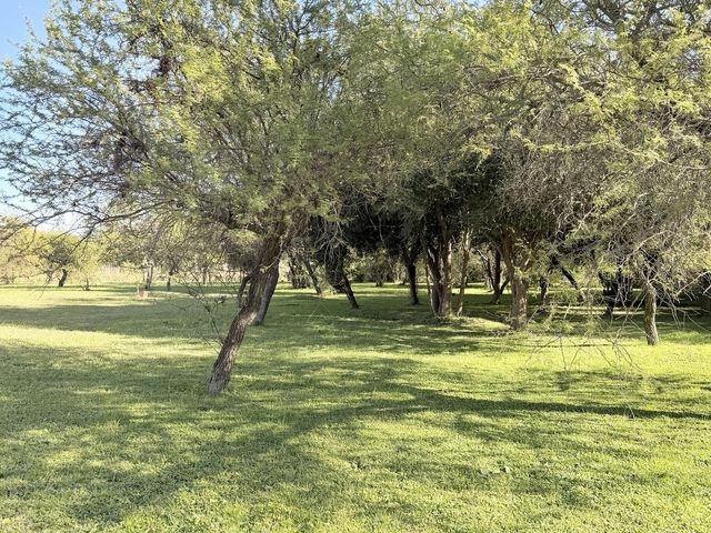 place photo 49