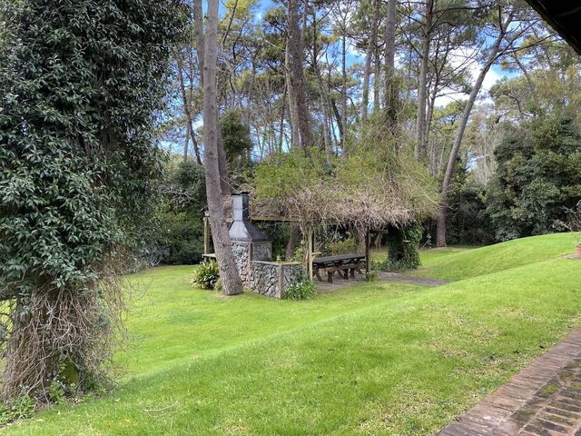 place photo 53