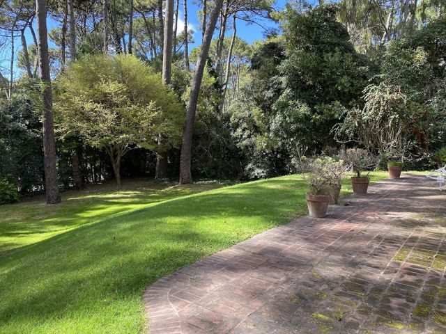 place photo 45