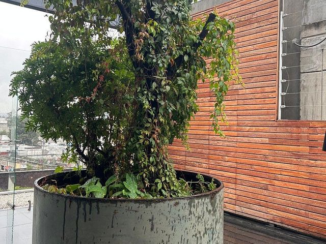 place photo 30
