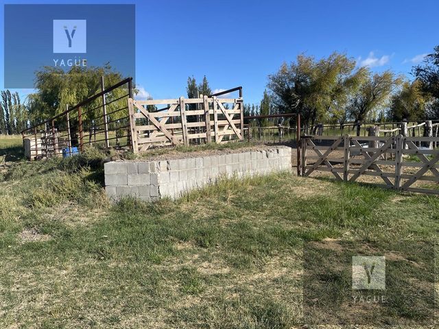 place photo 26