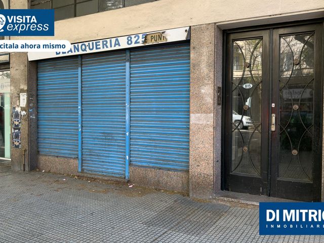 place photo 31
