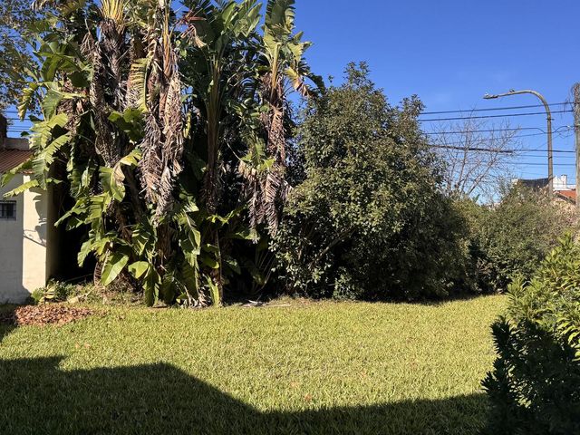 place photo 61