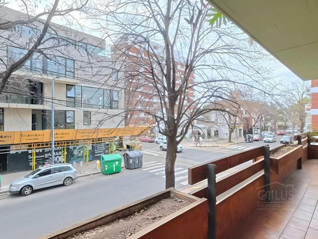 place photo 41
