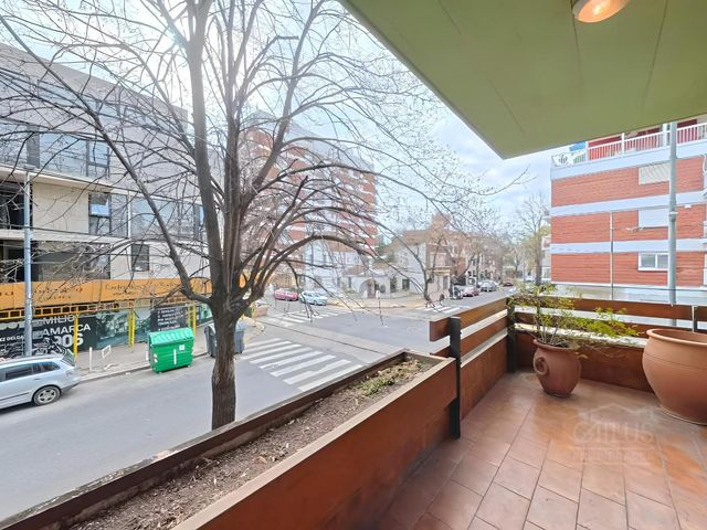 place photo 45