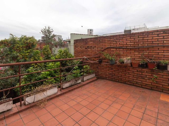 place photo 34