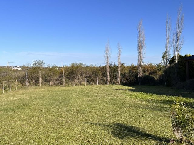 place photo 47