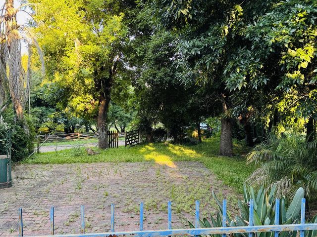 place photo 15