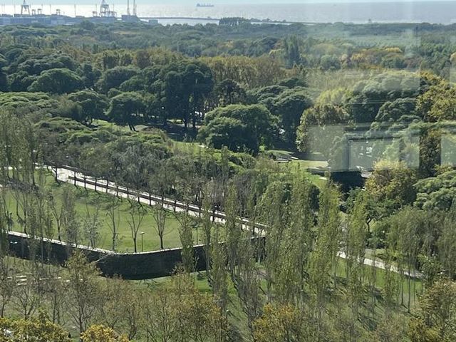 place photo 36