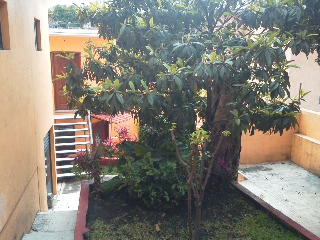 place photo 16