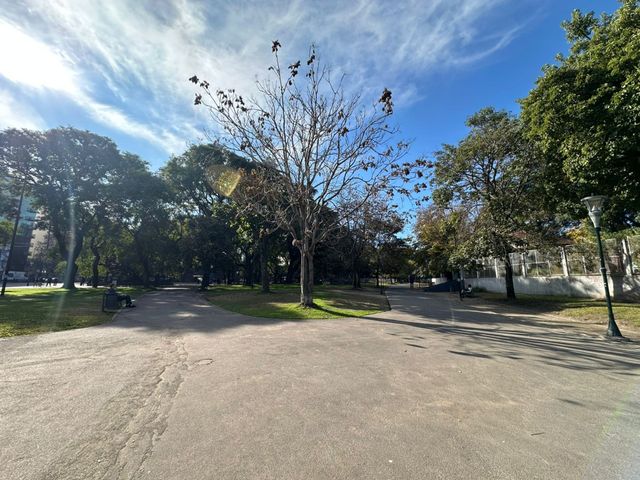 place photo 37