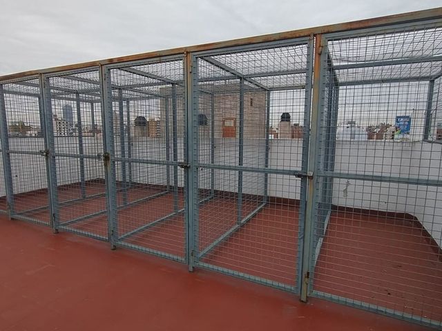place photo 23