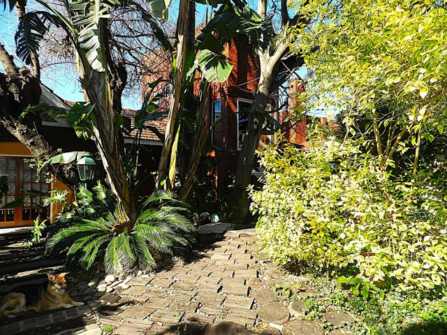 place photo 38