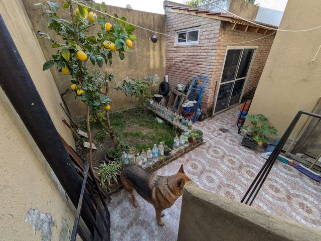 place photo 17