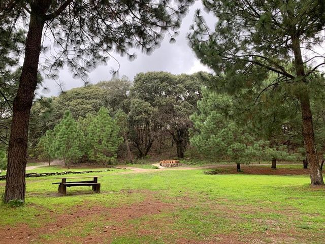 place photo 32