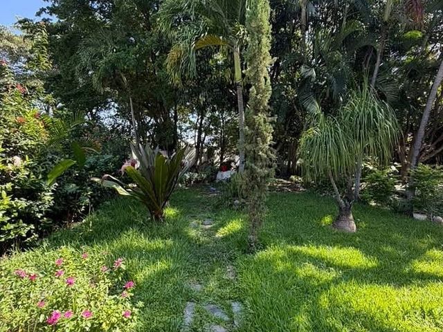 place photo 41