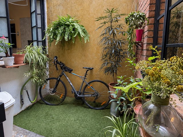 place photo 10