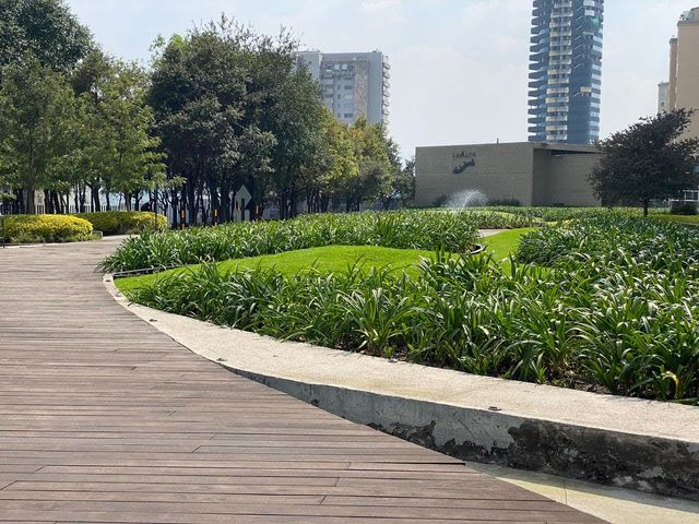 place photo 23