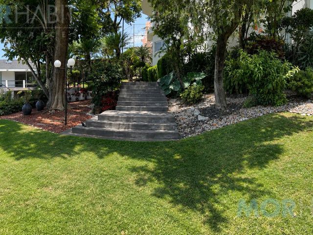 place photo 66