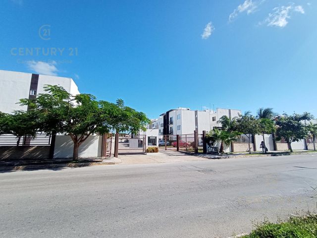 place photo 15