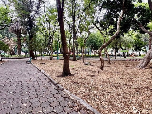 place photo 28