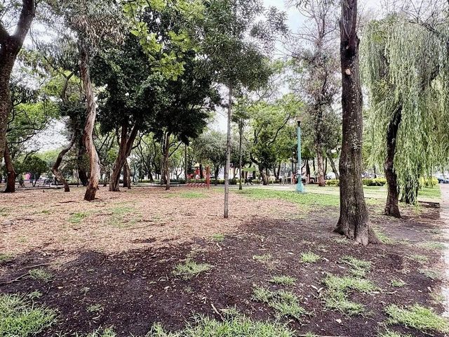place photo 27