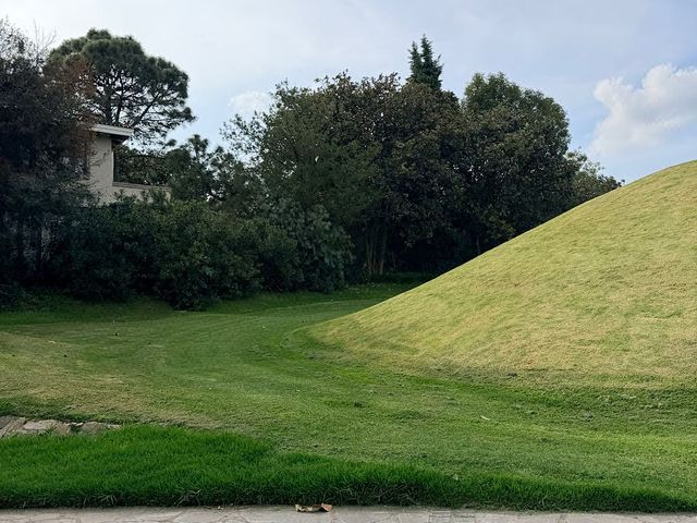 place photo 36