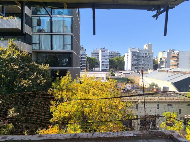 place photo 15
