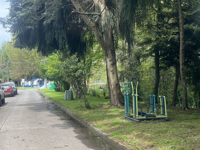 place photo 17