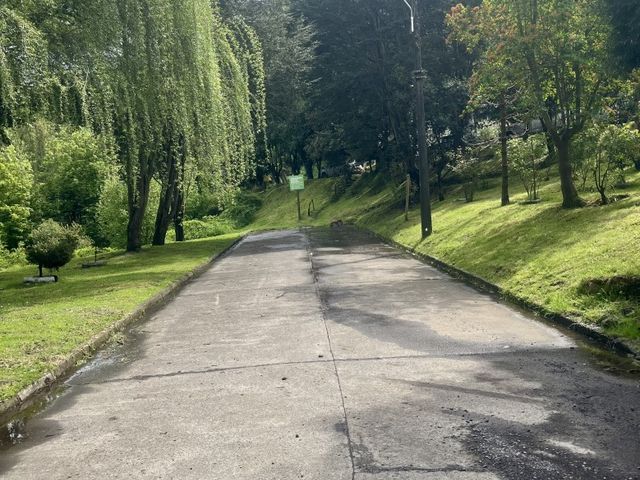 place photo 18