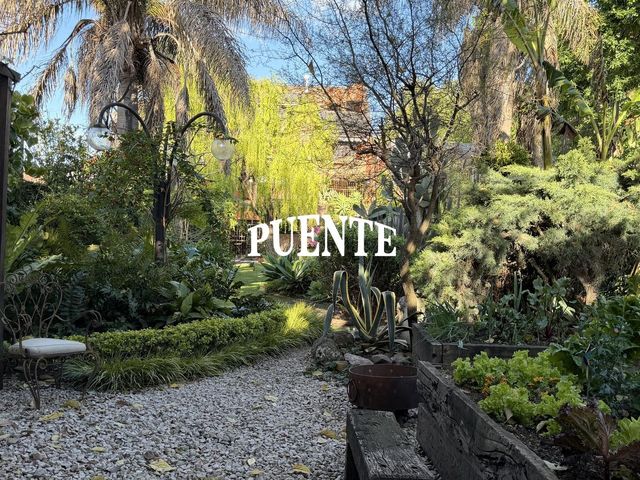 place photo 62