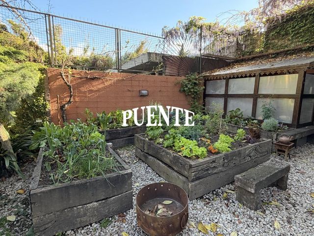 place photo 58
