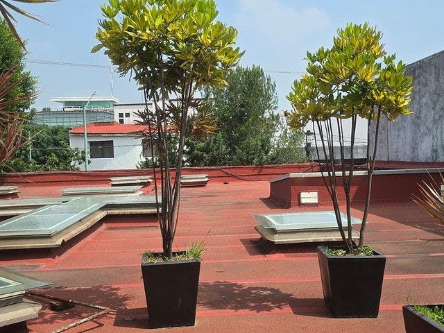 place photo 34