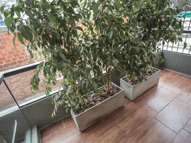 place photo 40