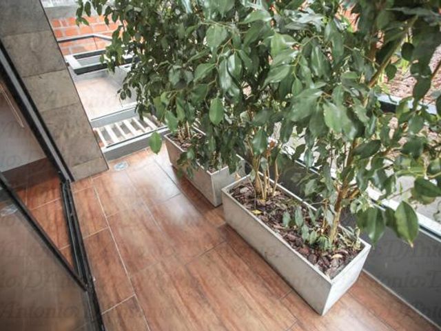 place photo 39