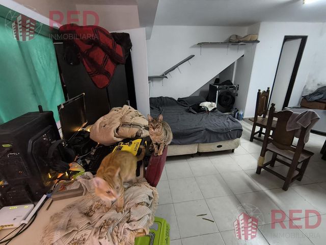 place photo 35