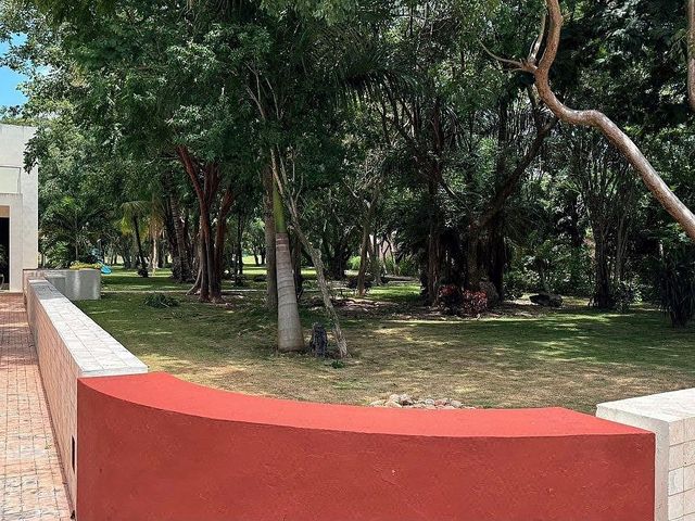 place photo 40