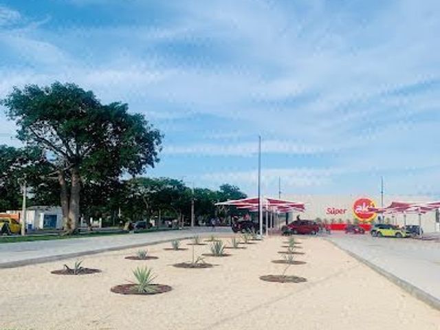 place photo 7