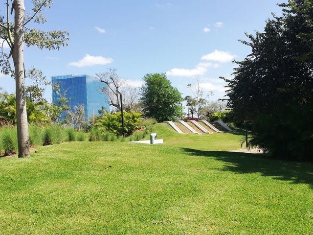 place photo 29