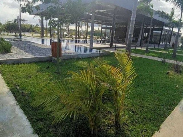 place photo 29