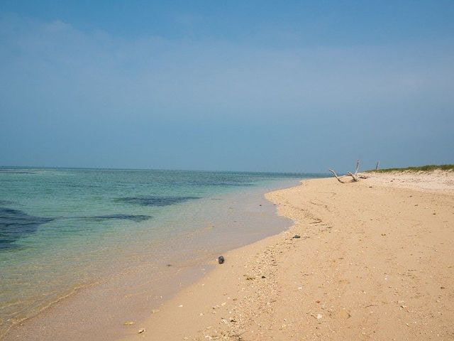 place photo 15