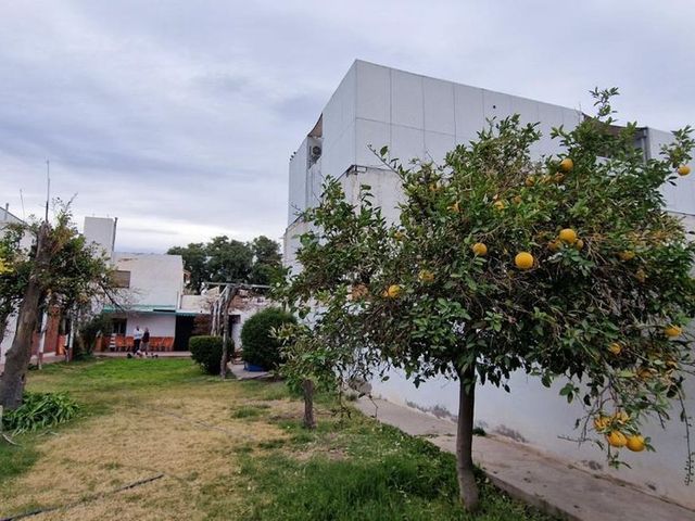 place photo 31