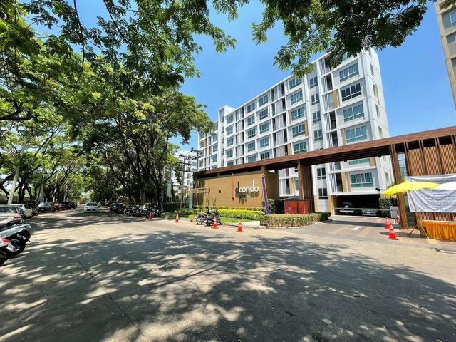 place photo 15