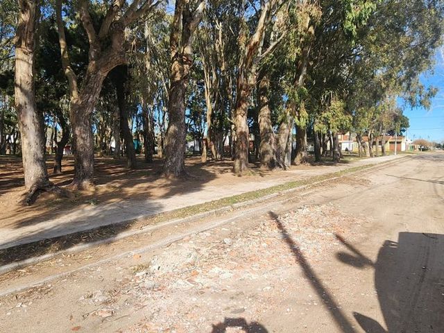 place photo 10