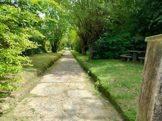 place photo 36